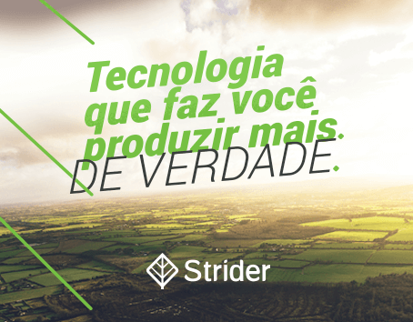 strider strider