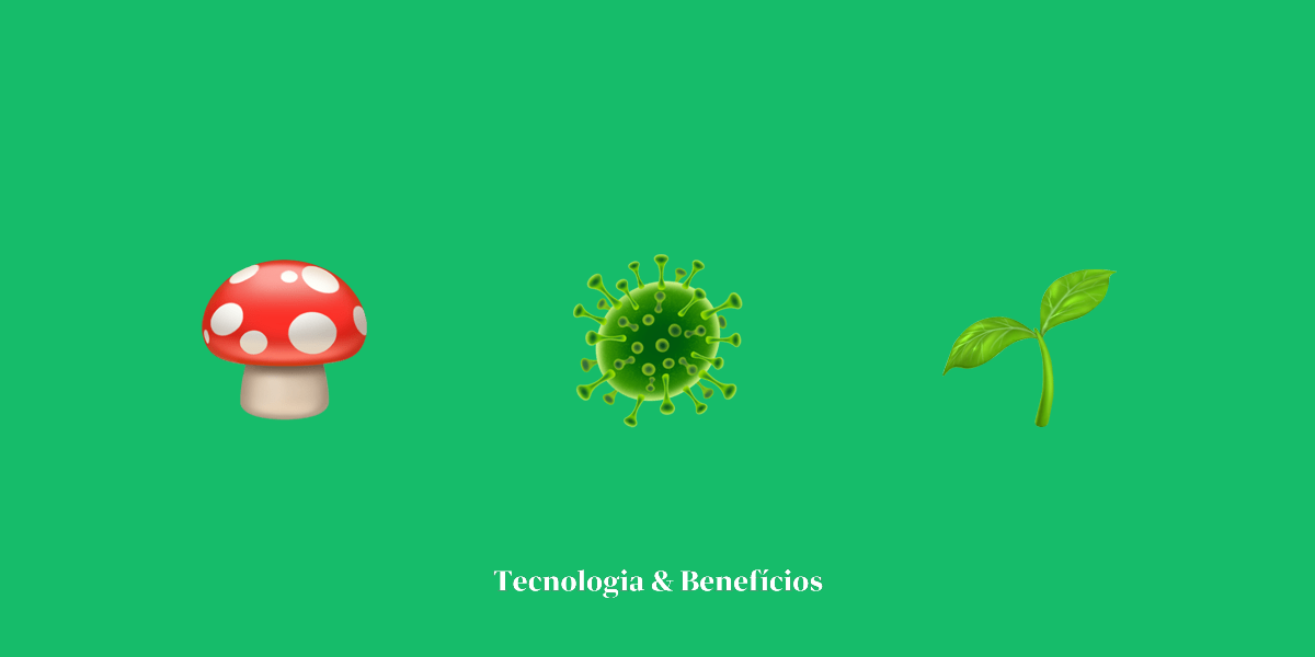 Fungos e bactérias no solo: importância de manter fungos e bactérias para o produtor rural