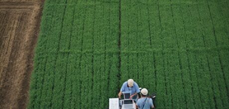 Como tecnologia e automação otimizam a gestão rural