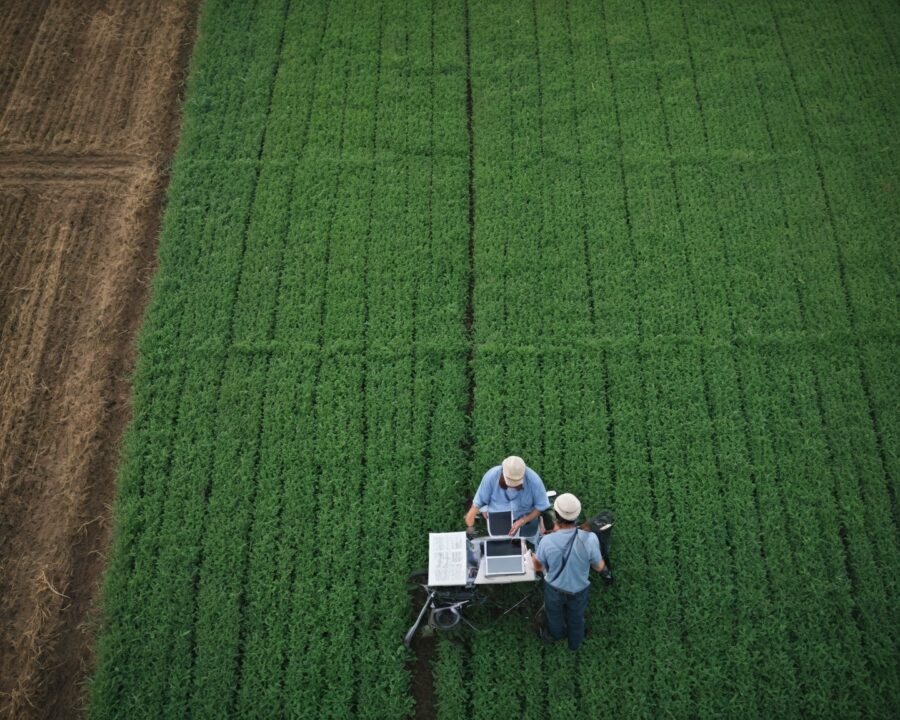 Como tecnologia e automação otimizam a gestão rural