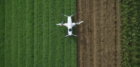 Agricultura de baixo impacto ambiental: tecnologias para preservar o solo