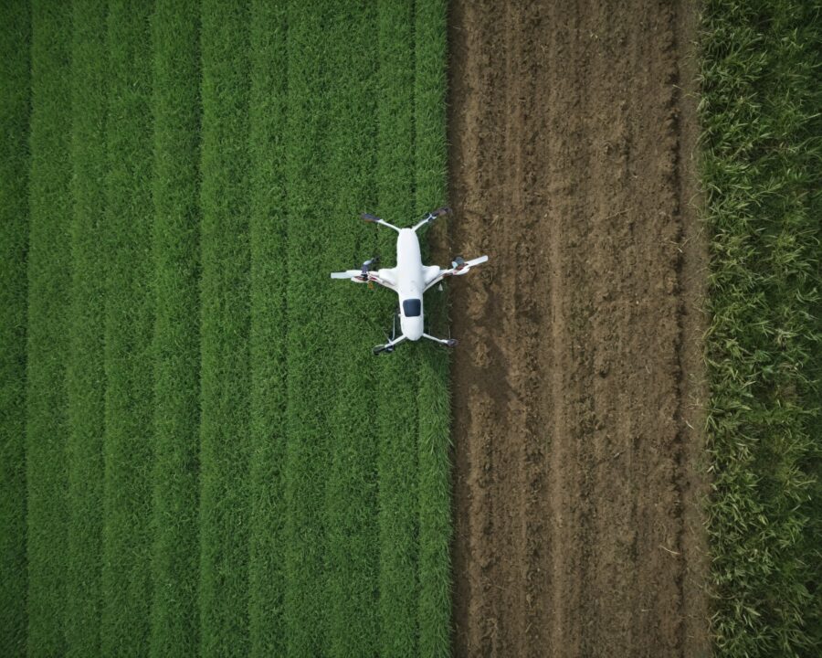 Agricultura de baixo impacto ambiental: tecnologias para preservar o solo