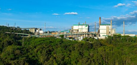 Como Reduzir a Emissão de Gases na Pecuária: Estratégias Sustentáveis e Eficazes