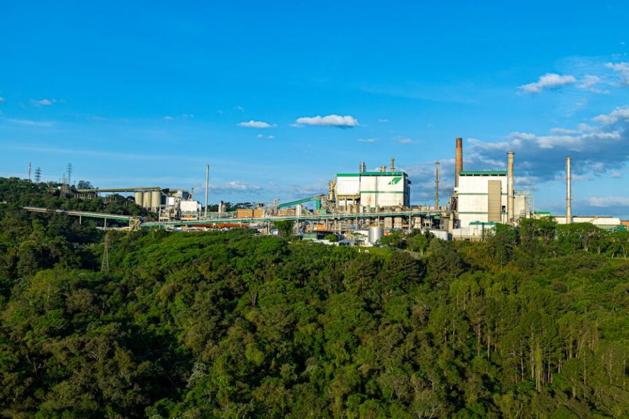 Como Reduzir a Emissão de Gases na Pecuária: Estratégias Sustentáveis e Eficazes