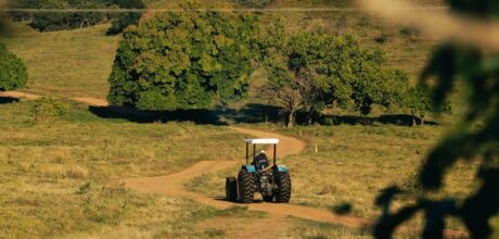 como usar o pastejo rotacionado para melhorar a pastagem